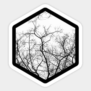 Hexagon fractal, sacred geometry. Sticker